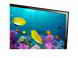 Фото - Телевизор Samsung UE42F5000AKXUA
